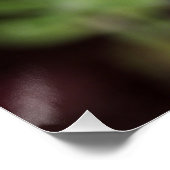 Lupinus texensis - Texas Bluebonnet Poster (Ecke)