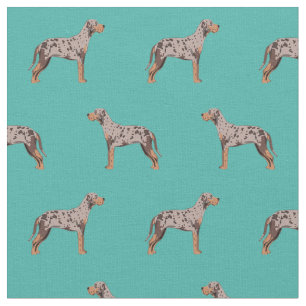 Lupisiana catahoula leopard Hund Türkis Stoff