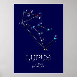 Lupus Poster
