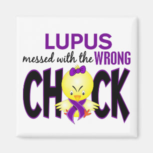 Lupus verwirrt mit dem falschen Küken Magnet