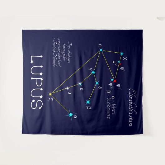 Lupus Wandteppich (Vorderseite (Horizontal))