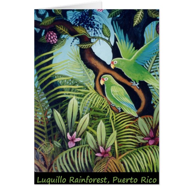 Luquillo Papageien (Vorne)