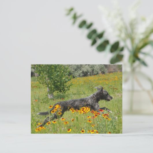 Lurcher, der durch ein Blume-Feld läuft - Postkart Postkarte (Stehend Vorderseite)