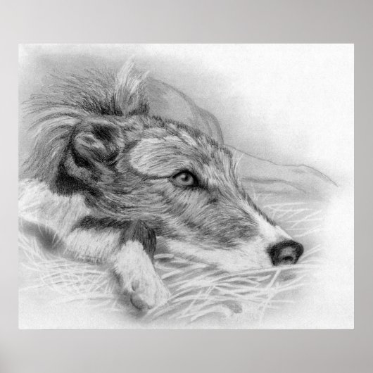 Lurcher Dog Portrait Poster (Vorne)