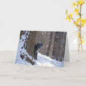 Lurcher hinter einem Baum - Gruß-Karten Karte (Gelbe Blume)