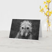 Lurcher Karte (Gelbe Blume)
