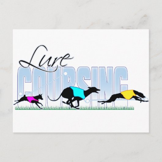 Lure Coursing Hunde Postkarte (Vorderseite)