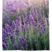 Luscious Lavender Duschvorhang (Vorderseite)