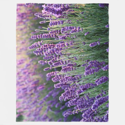 Luscious Lavender Fleecedecke (Vorderseite)