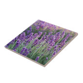 Luscious Lavender Fliese (Seite)