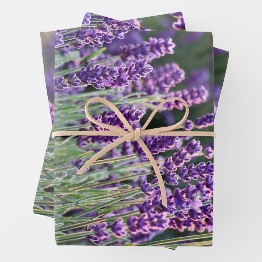 Luscious Lavender Geschenkpapier Set (Beispiel)