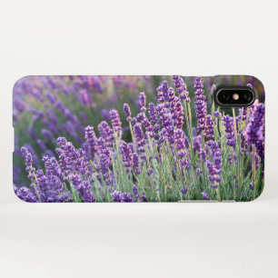 Luscious Lavender iPhone Hülle