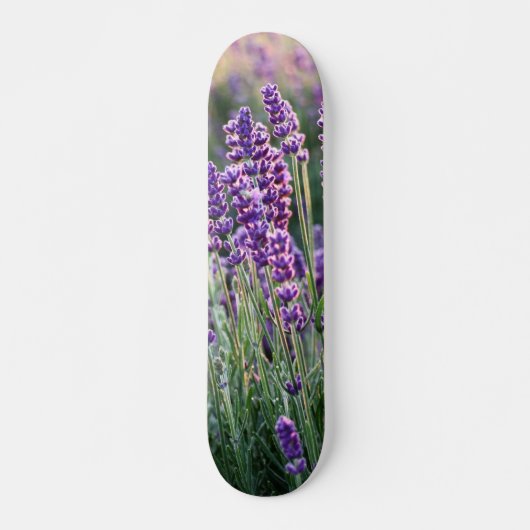 Luscious Lavender Skateboard (Vorne)