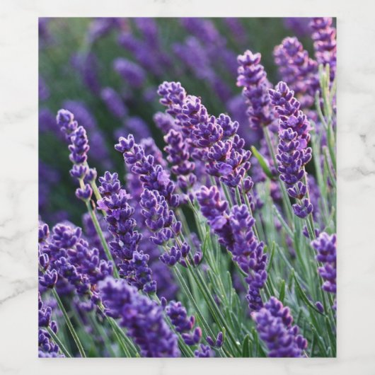 Luscious Lavender Weinetikett (Einzelnes Label)