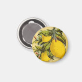 Luscious Lemons Magnet (Vorderseite/Rückseite)