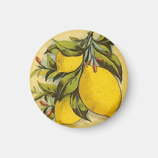 Luscious Lemons Magnet (Vorne)