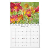 Luscious Lilies #1 Kalender (Mär 2027)