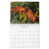 Luscious Lilies #1 Kalender (Feb 2027)