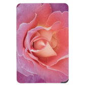 Luscious Pink Rose Magnet (Vertikal)