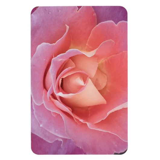 Luscious Pink Rose Magnet (Vertikal)