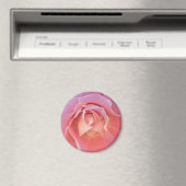 Luscious Pink Rose Magnet (In Situ (Geschirrspüler))