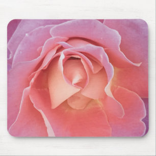 Luscious Pink Rose Mousepad
