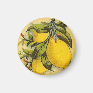 Luscious Zitronen Magnet