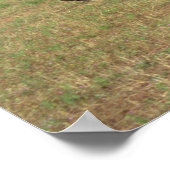 Luscombe, T-8F, 1948_Classic Aviation Poster (Ecke)