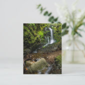 Lush California Watervall Postkarte (Stehend Vorderseite)