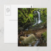 Lush California Watervall Postkarte (Vorne/Hinten)