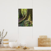 Lush Evergreen Forest Fotografy Nature Poster (Küche)