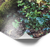 Lush Evergreen Forest Nature Fotodruck (Ecke)