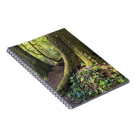 Lush Evergreen Forest Notizblock (Rechte Seite)