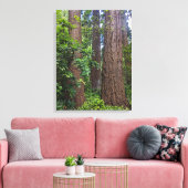 Lush Forest Douglas Fir Trees Fotografie Leinwanddruck (Insitu (Wohnzimmer))