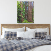 Lush Forest Douglas Fir Trees Fotografie Leinwanddruck (Insitu (Schlafzimmer))