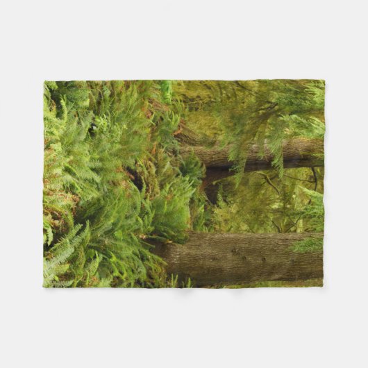 Lush Forest & Ferns | Ecola Staat Park, Oregon Fleecedecke (Vorderseite (Horizontal))