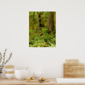 Lush Forest & Ferns | Ecola Staat Park, Oregon Poster (Küche)
