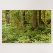 Lush Forest & Ferns | Ecola Staat Park, Oregon Puzzle (Horizontal)