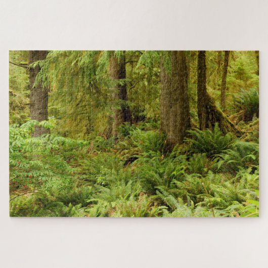 Lush Forest & Ferns | Ecola Staat Park, Oregon Puzzle (Horizontal)