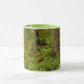 Lush Forest & Ferns | Ecola Staat Park, Oregon Tasse (Zentrum)