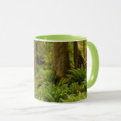 Lush Forest & Ferns | Ecola Staat Park, Oregon Tasse (VorderseiteRechts)
