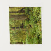 Lush Forest & Ferns | Ecola Staat Park, Oregon Wandteppich (Vorderseite)