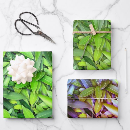 Lush Green Blätter Pattern - Natur botanisch (Vorderseite)