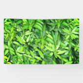Lush Green Blätter Pattern - Natur botanisch Banner (Horizontal)