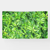 Lush Green Blätter Pattern - Natur botanisch Banner (Horizontal)