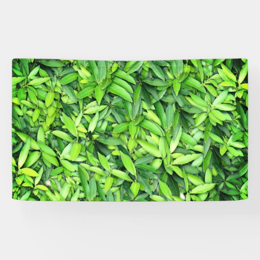Lush Green Blätter Pattern - Natur botanisch Banner (Horizontal)