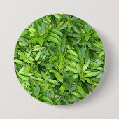 Lush Green Blätter Pattern - Natur botanisch Button (Vorderseite)