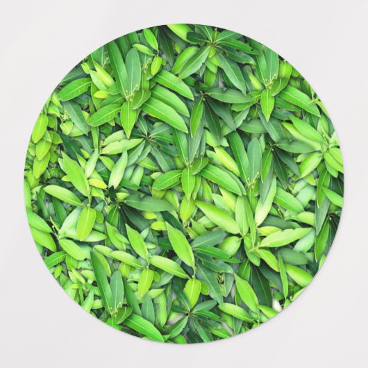 Lush Green Blätter Pattern - Natur botanisch Etiketten (Design 2)