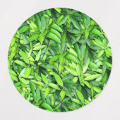 Lush Green Blätter Pattern - Natur botanisch Etiketten (Design 1)