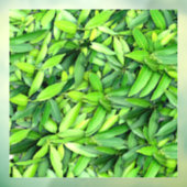 Lush Green Blätter Pattern - Natur botanisch Fensteraufkleber (Blatt 3)